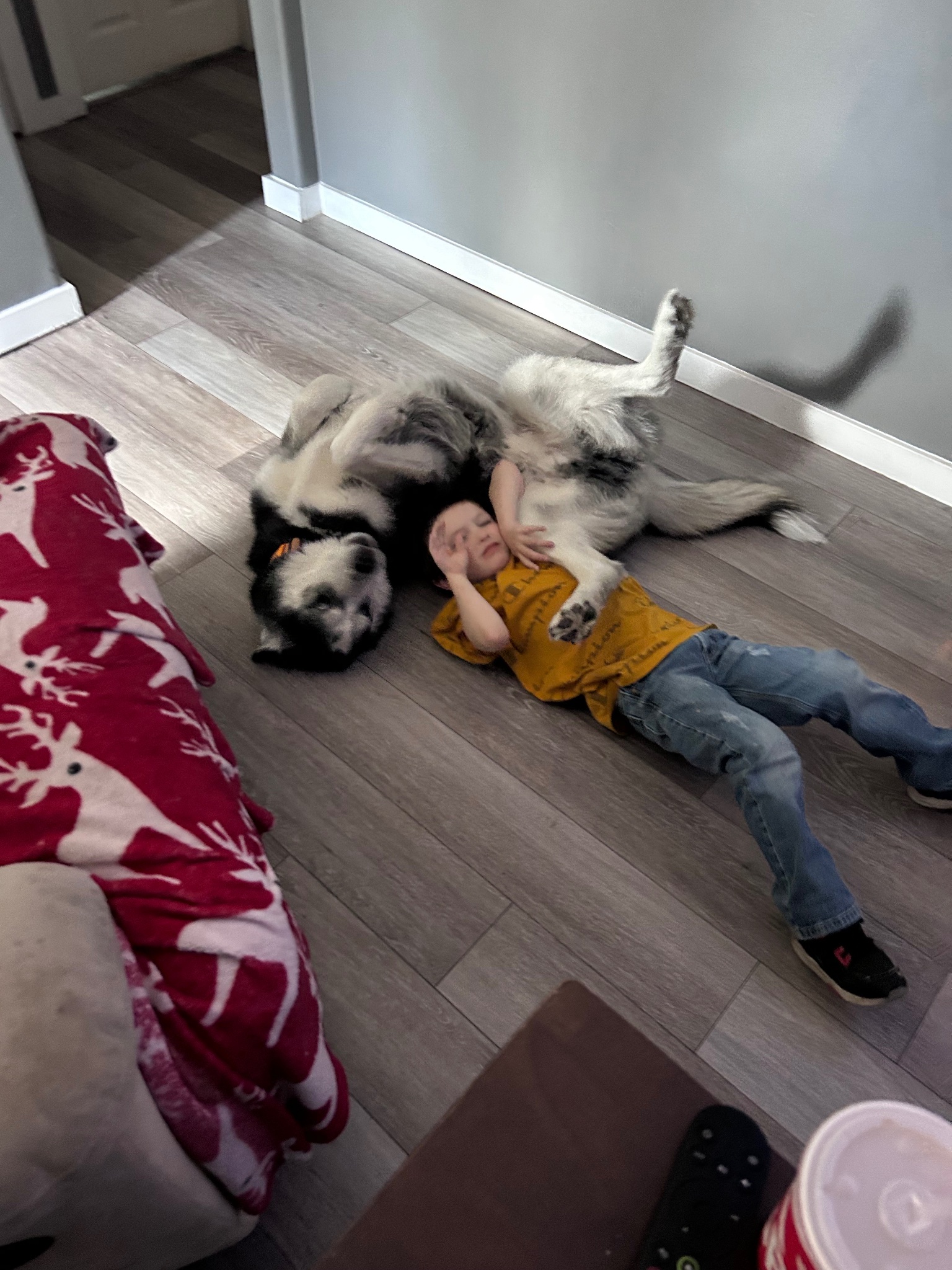 Large fluffy dog cuddling with a child on the floor